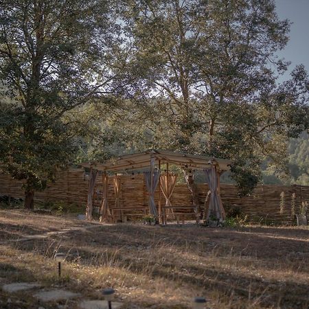 Hotel Nayalap - Rural Himalayan Glamping Shitlakhet Exteriér fotografie